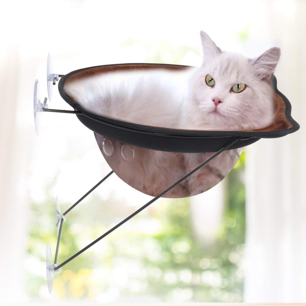 Fukumaru Cat Hammock Wall Mounted Large Cats Shelf Review Catpremier