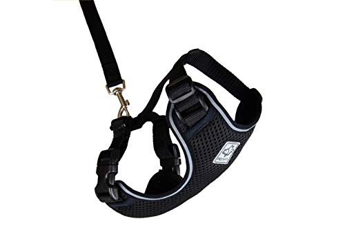 RC Pet Products Adventure Kitty Harness