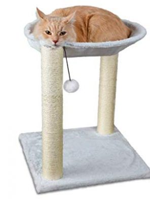 20" Inch Cat Tree Play Tower Bed Furniture Scratch Post