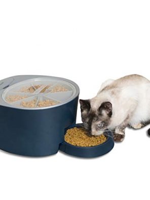 Automatic Cat and Dog Food Dispenser