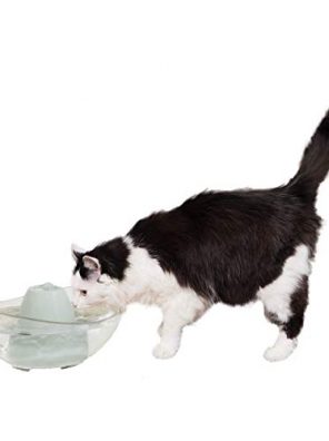 Cats Water Fountain Pet Drinking