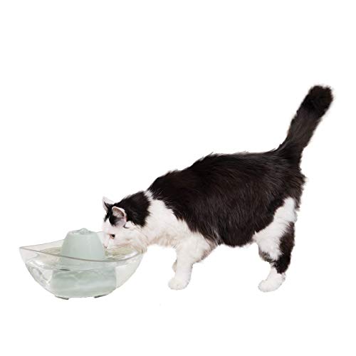 Cats Water Fountain Pet Drinking