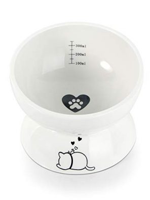 LENYOSSI Cat Bowl, Elevated Cat Food Bowl Protect Pet's Neck