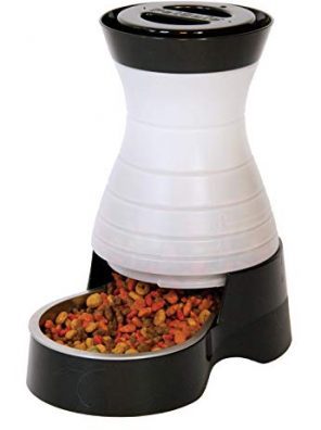 Cats Gravity Pet Feeder Healthy Pet Food Station