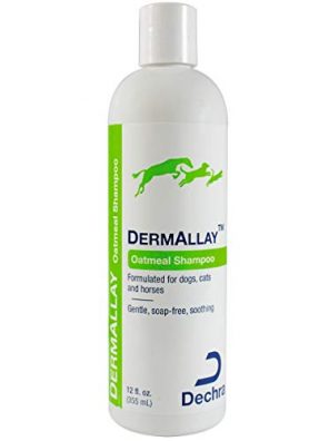 Oatmeal Shampoo for Cats Dechra DermAllay