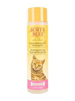 Cats Hypoallergenic Shampoo with Shea Butter and Honey