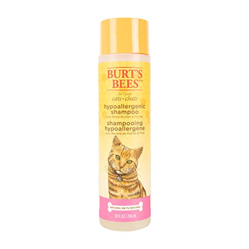 Cats Hypoallergenic Shampoo with Shea Butter and Honey