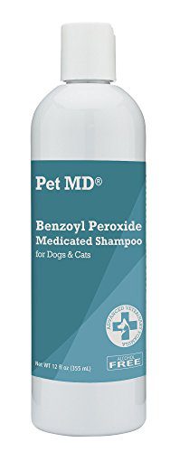 Cats Benzoyl Peroxide Medicated Shampoo
