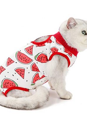 Professional Surgery Recovery Suit for Cats