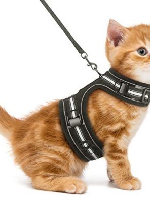 Adjustable Vest Cat Harness and Leash for Walking Escape Proof