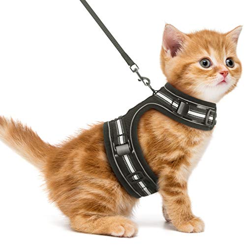 Adjustable Vest Cat Harness and Leash for Walking Escape Proof