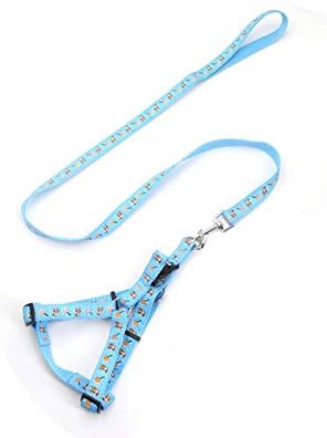 Cat Harness and Leash for Walking - Adjustable Escape Proof