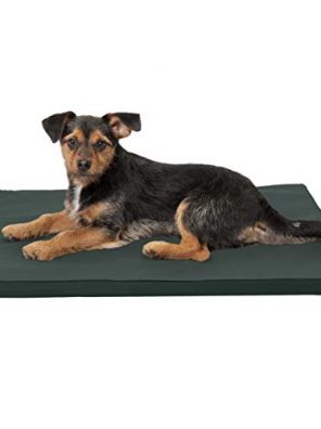 Cats Reversible Two-Tone Water-Resistant Crate or Kennel Foam Mat