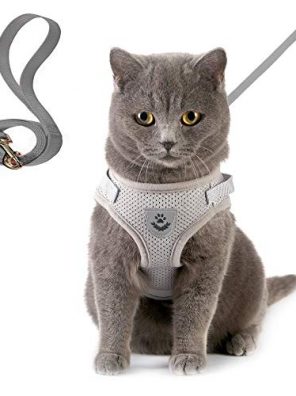 RIDVANVAN Cat Harness and Leash Sets