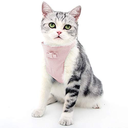 HEYWEAN Cat Surgical Recovery Suit