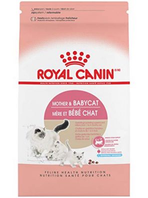 Royal Canin Feline Health Nutrition Mother