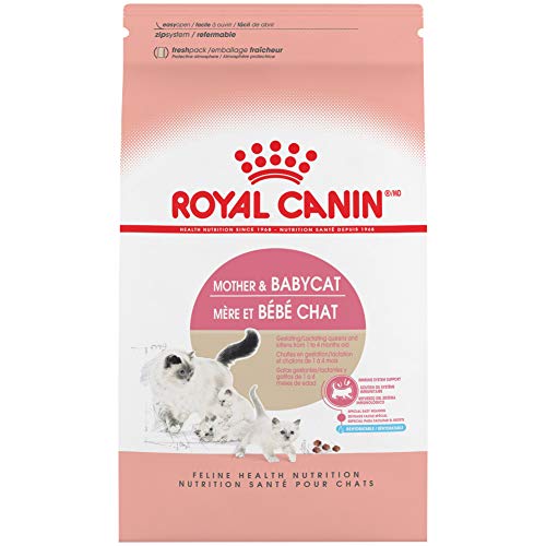 Royal Canin Feline Health Nutrition Mother