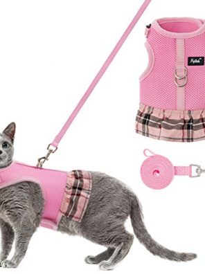 Cat Harness Dress and Leash for Walking Outdoor
