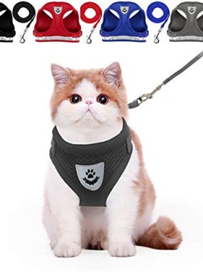 Escape Proof Reflective Cats Harness and Leash Pet Vest