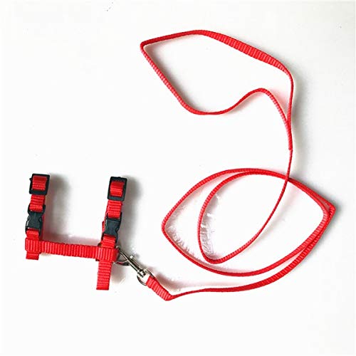 Cats Collar Harness and Leash Adjustable