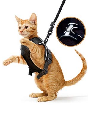 Adjustable Cat Harness and Leash for Walking