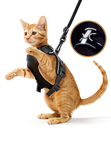 Adjustable Cat Harness and Leash for Walking