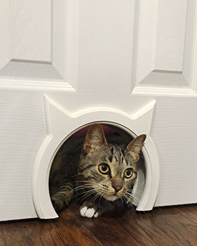 Cat Door Hidden Litter Box Pet Door for Cats up to 21 lbs