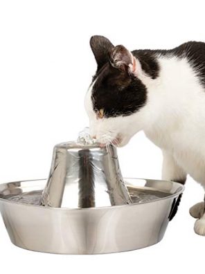 Cats Scratch and Rust Resistant Pet Fountain