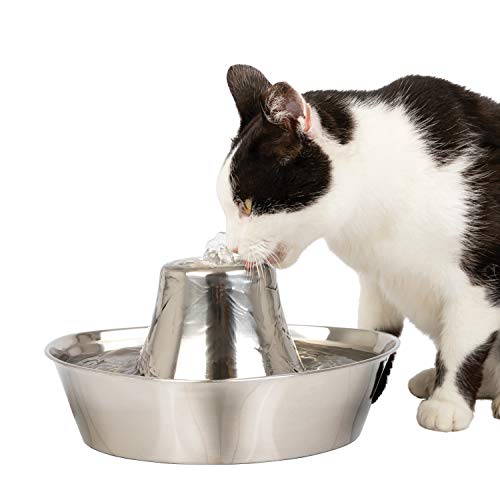 Cats Scratch and Rust Resistant Pet Fountain