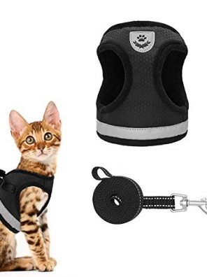 KOOLTAIL Cat Harness Dog Harness and Leash Set