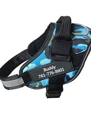 Training Cat  Walking Harness with Name for Large Dogs Heavy Duty