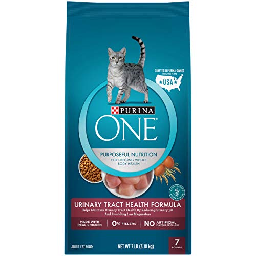 Purina ONE High Protein Dry Cat Food
