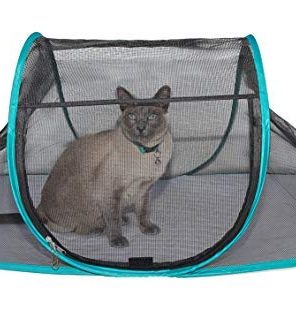 Cat House Outdoor Pet Enclosure for Indoor Cats