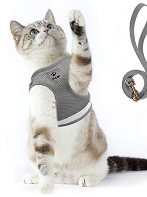 Cat Harness and Adjustable Leash Set Reflective