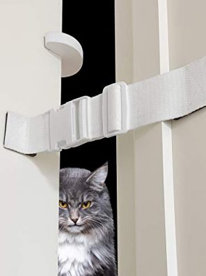 Cat Door Strap Keep Dog Out of Litter Box Room and Cat Feeder