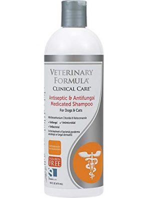 Cats Antifungal Shampoo Formula Clinical Care Antiseptic