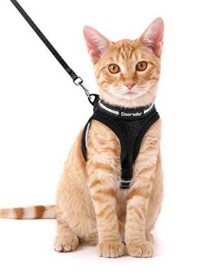 Cat Leash and Harness Set Escape Proof Safe