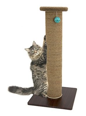 Kitty Tall Woven Sisal Carpet Cat Scratching Post