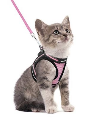 rabbitgoo Cat Harness and Leash Set for Walking Escape Proof