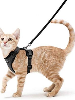 Cat Vest Harnesses Harness and Leash for Walking