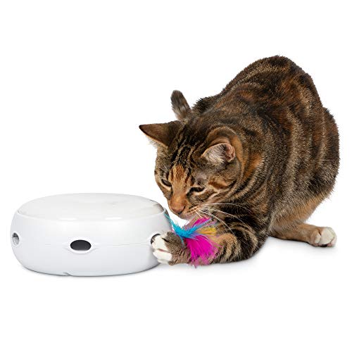 Nighttime Electronic Cat Toy with Rotating Feather