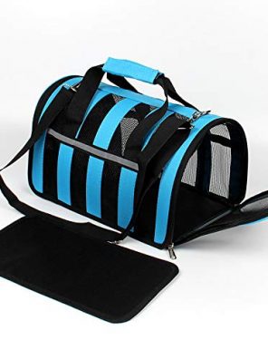 Large Cat Carrier Designed Especially for Sensitive Cats