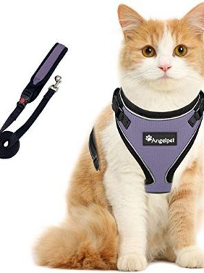 Cat Harness and Leash Set for Walking Escape Proof