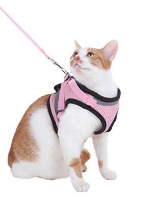 Orinci Cat Harness and Leash Set for Escape Proof