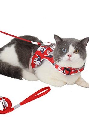 RIDVANVAN Cat Harness and Leash Sets for Walking Escape Proof