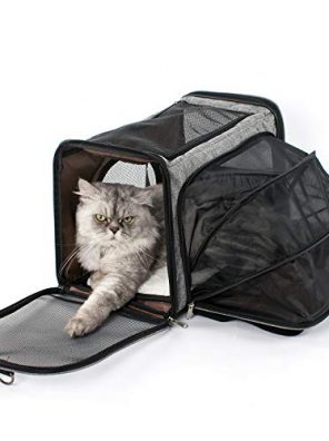LUCKITTY Pet Carrier Cat Carriers, Airline Approved Travel Pet Bag