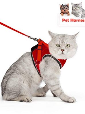 SENYE PET Cat Harness Escape Proof Small Cat and Dog
