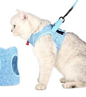 Cat Leash and Harness Set for Walking
