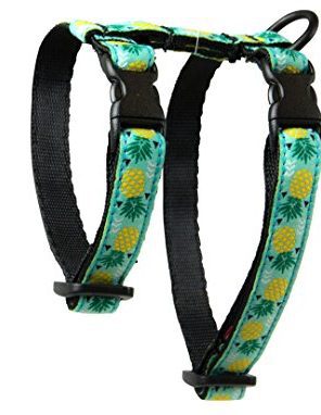 RC Pet Products 1/2 Inch Kitty Cat Harness