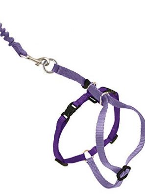 Come With Me Kitty Harness and Bungee Cat Leash
